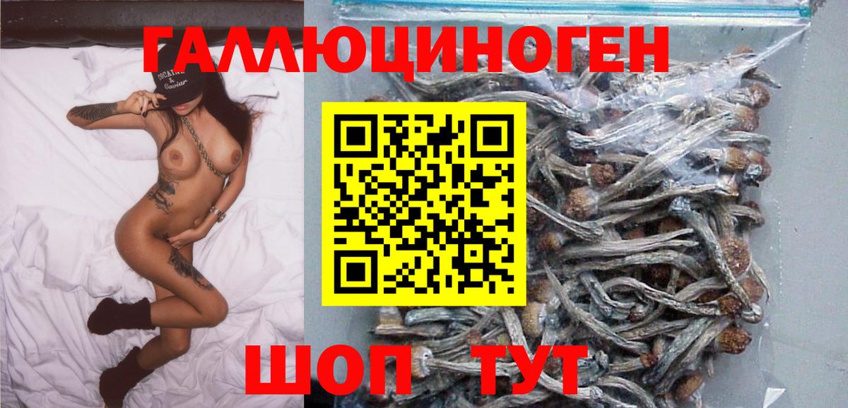 Галлюциногенные грибы прущие грибы Ухта