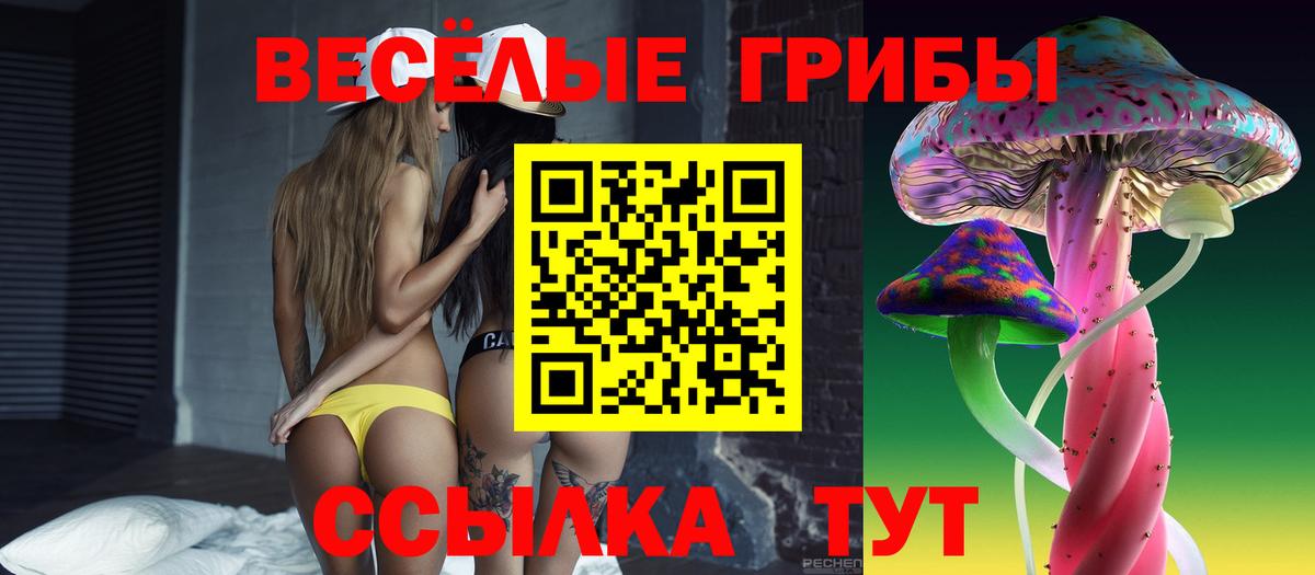 Ухта  Галлюциногенные грибы прущие грибы  Вход с VPN  Галлюциногенные грибы мицелий 